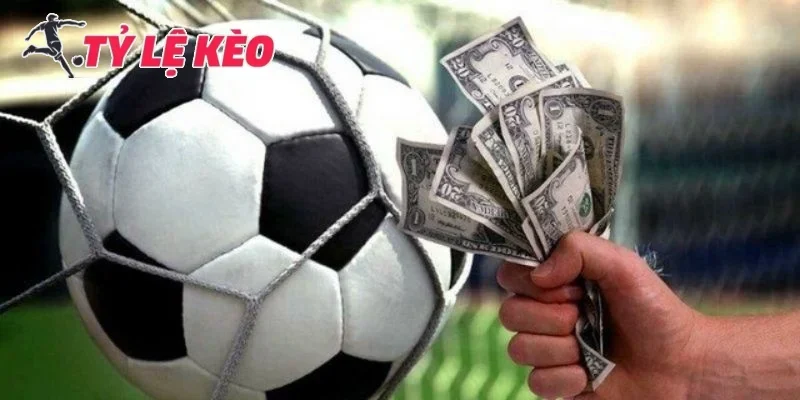 Kinh nghiệm soi kèo bóng đá hôm nay 