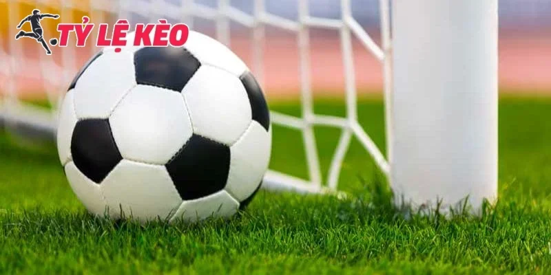 Các loại tỷ lệ thường được cập nhật